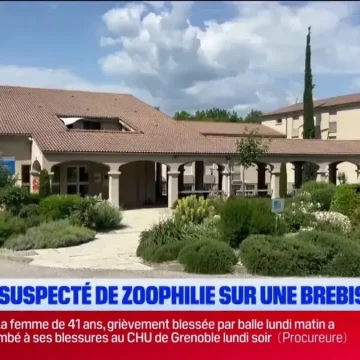 19839918-e2c6-4c64-af60-8dd4f608c106 Enquête sur des soupçons de maltraitance animale au lycée agricole de Carmejane