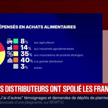 La commission d’enquête sénatoriale sur les marges des distributeurs propose des réformes