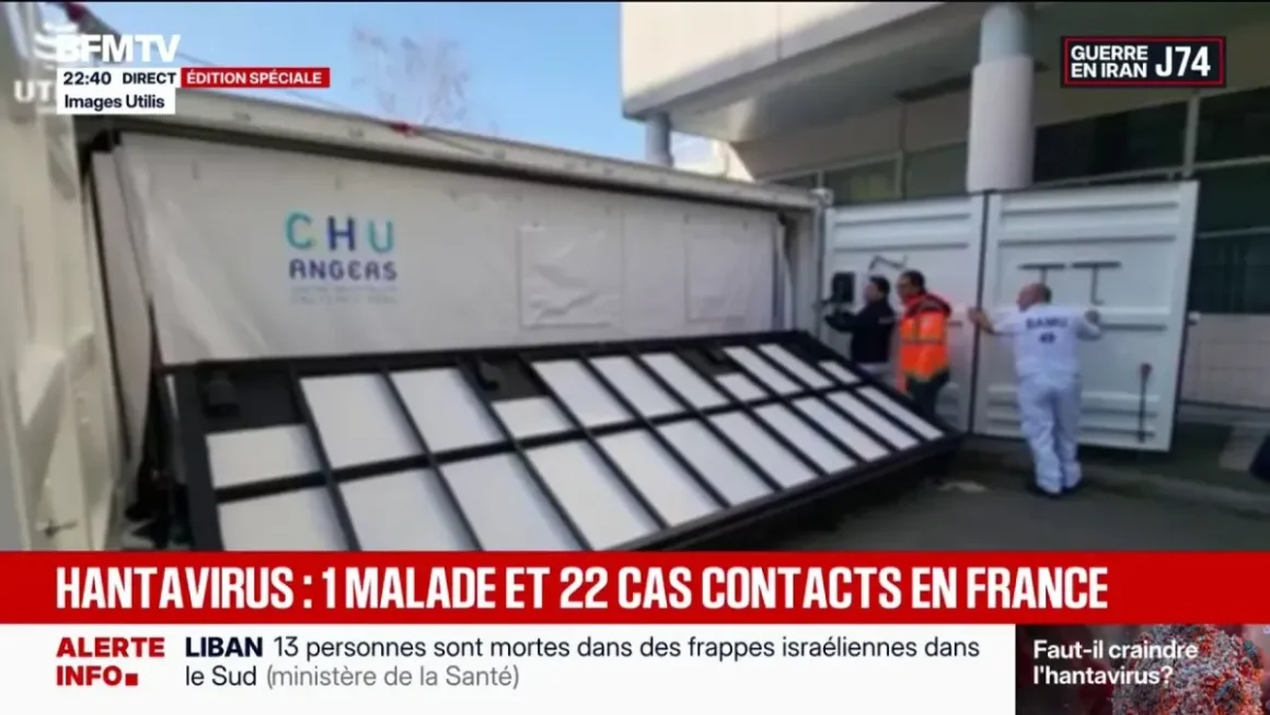 Évacuation du MV Hondius suite à un foyer d’hantavirus