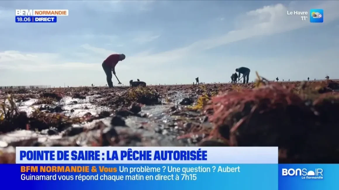 Bonsoir la Normandie : Emission Quotidienne sur BFM Normandie