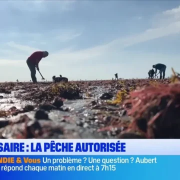 Bonsoir la Normandie : Emission Quotidienne sur BFM Normandie