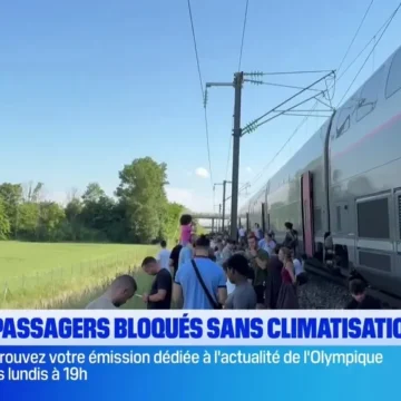Des trains à l’arrêt près de Lyon suite à des pannes