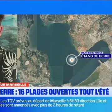 Entretien avec Raphaël Grisel sur la saison estivale à l’Étang de Berre