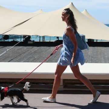 Le sauvetage de chiens : un rappel des dangers de la chaleur