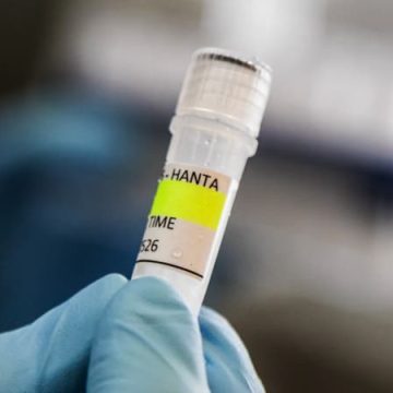 L’OMS Confirme Six Cas d’Hantavirus des Andes