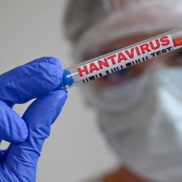 Recherches sur l’hantavirus à Ushuaïa