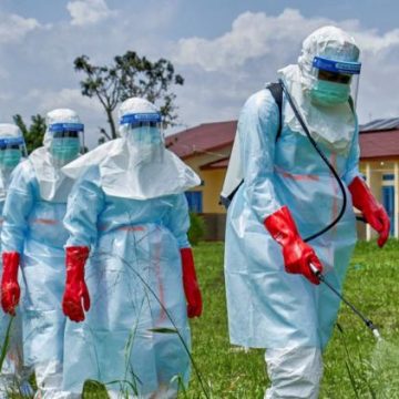 Propagation du virus Ebola en Afrique : dix pays à risque
