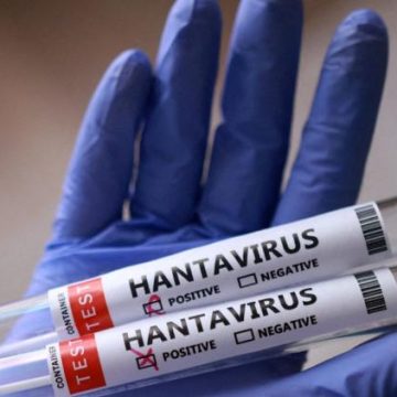 L’épidémie d’hantavirus en Argentine : enjeux et défis