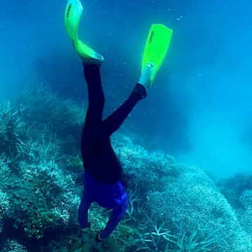 Un plongeur de 55 ans recherché à l’est de Porquerolles