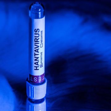 Impact des rumeurs autour du Hantavirus