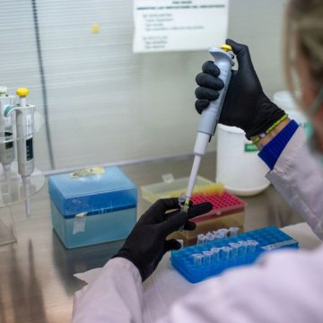 La France rassurée après des tests négatifs au hantavirus des Andes