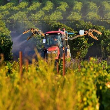 La Commission européenne et l’homologation des pesticides