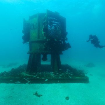 La transformation artistique et écologique du projet Art Reef
