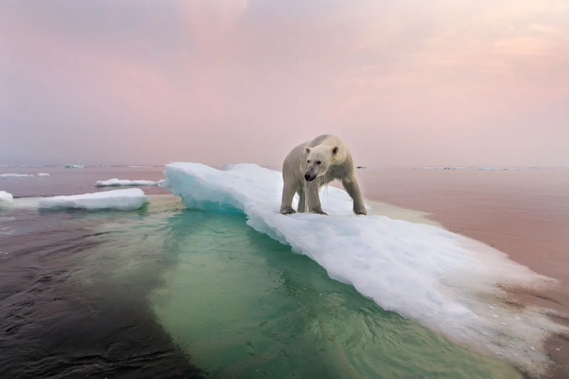 Retour sur 15 Millions d’Années pour Comprendre le Climat Futur