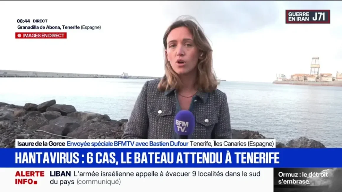 Le MV Hondius en route vers Tenerife après une détection de hantavirus