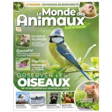 Corneilles : Des Oiseaux aux Facultés Étonnantes