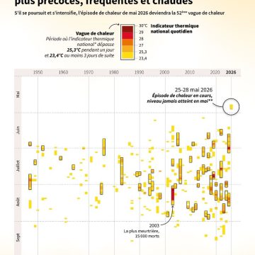 Vague de chaleur inédite en France : impacts et réactions