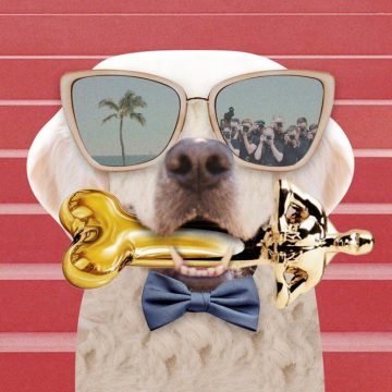 Les chiens, stars du cinéma à Cannes