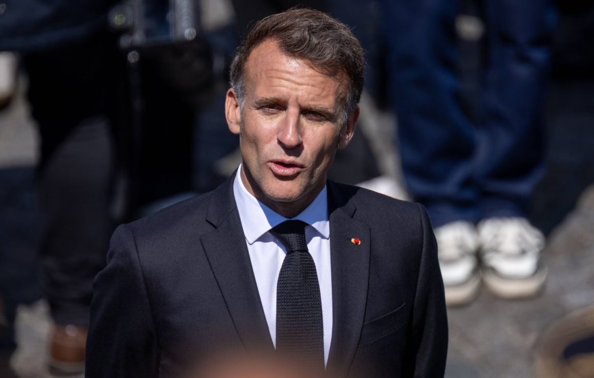 L’hantavirus et la situation en France