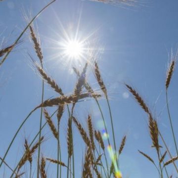 Prévisions Météo: Une Semaine Estivale S’annonce
