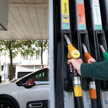 Des éleveurs des monts du Lyonnais innovent pour valoriser leur laine