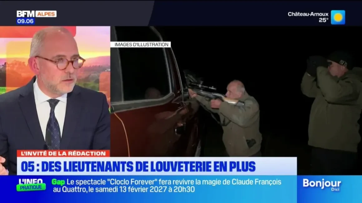 Renforcement des Effectifs Face à la Prédation du Loup dans les Hautes-Alpes