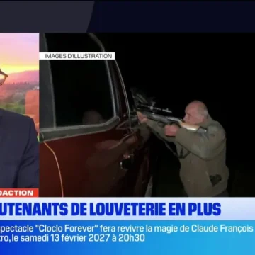 Renforcement des Effectifs Face à la Prédation du Loup dans les Hautes-Alpes