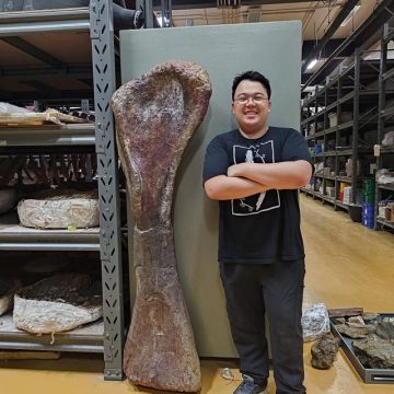 Découverte du Nagatitan chaiyaphumensis en Thaïlande