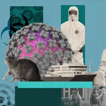 Comprendre l’Hantavirus et Ses Impacts