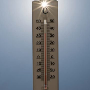 Canicule en France et Europe : vigilance, records et conséquences