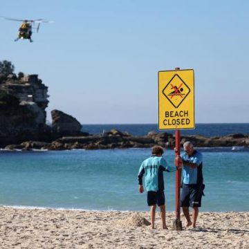 00f20452-5be6-461b-ab2d-c55f474643ef Protection contre les attaques de requins en Nouvelle-Galles du Sud