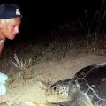 Mort de Mona Khalil, pionnière de la protection des tortues au Liban