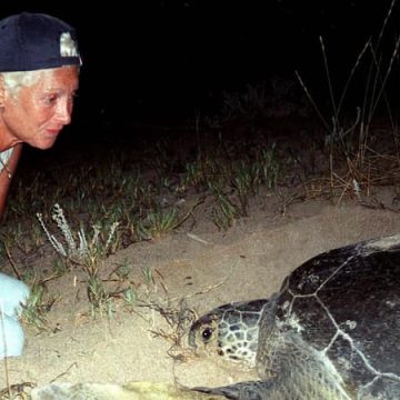 Mort de Mona Khalil, pionnière de la protection des tortues au Liban