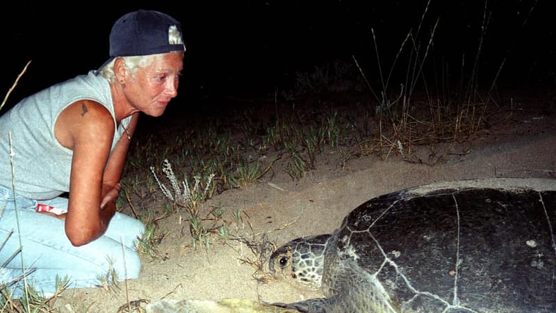 0be30b93-92f0-4b29-953e-36a714ac54d2 Mort de Mona Khalil, pionnière de la protection des tortues au Liban
