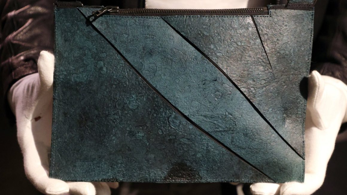 Vente aux enchères d’un sac en cuir cellulaire de T-Rex : quand la science dépasse la fiction