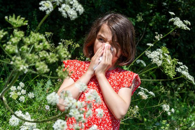 1daa9823-510e-4a4e-abf9-8939e1492d7b Allergies aux pollens en France : une situation préoccupante