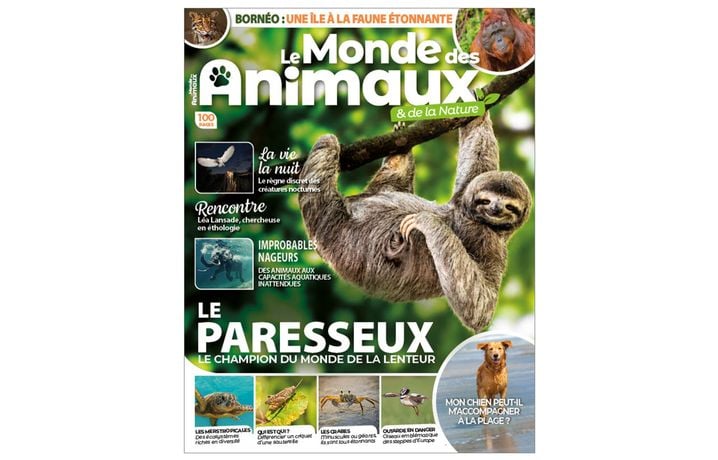 2b4c5930-0a6d-44df-89fe-3a4d547db77f La Vie Discrète du Hérisson d’Europe