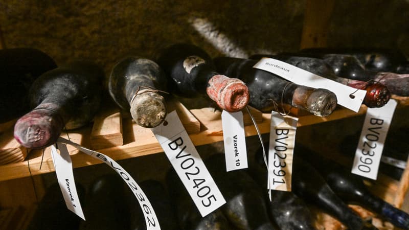 3126781f-3a44-46b8-9581-4f65250fd062 Comment Château d’Yquem a sauvé des bouteilles de 130 ans