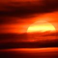 Podcast et livre sur la transition climatique