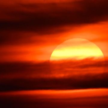 3a9fc039-5cbd-4dec-8d8c-c62c712938e6 Podcast et livre sur la transition climatique