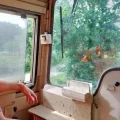 Modernisation et Transition Écologique de la Ligne du Tire-bouchon