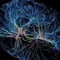 Les Secrets de la Manipulation Mentale