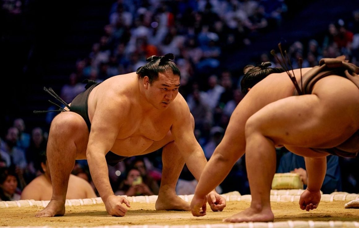 Le retour du sumo en France