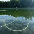 Les défis du miroir d’eau du Lincoln Memorial
