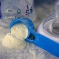 Rappel de lait infantile : le gouvernement rassure sur l’absence de toxine céréulide