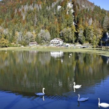 5ac8e8bb-e294-4f56-8edc-138caf3458ef Deux adolescents noyés à Besançon: un drame qui rappelle la dangerosité du Doubs