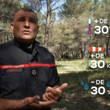 Alerte aux feux de forêt en France : vigilance orange dans quatre départements