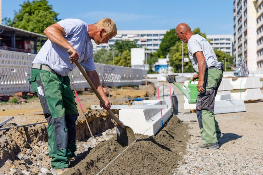 Heat Wave in Brandenburg Chaleur Extrême : L’Allemagne Face à la Canicule