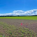 L’agriculture face aux défis climatiques: innovations et adaptations à Grignon