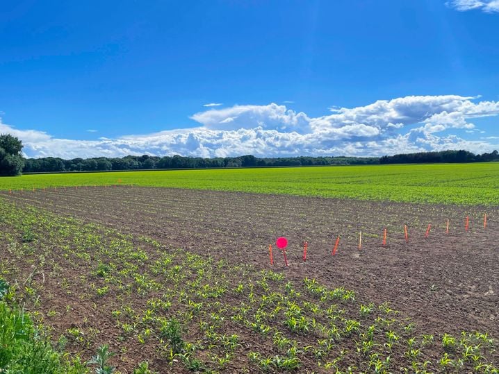 68b0c81b-fc51-44e6-87f4-f1fe7dc6cfd3 L’agriculture face aux défis climatiques: innovations et adaptations à Grignon